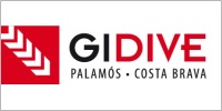 Gidive Store